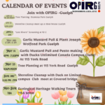 OPIRG Guelph Spring 2026  Ecological Restorations Activities!