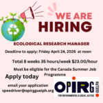WE ARE HIRING