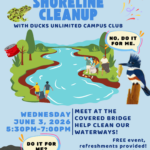 Shoreline Cleanup!